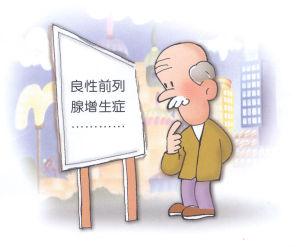 ǰ��������