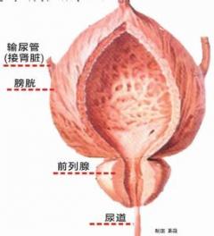 ǰ������