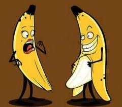 ��Ƥ����