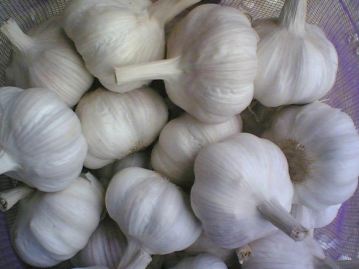 �Դ���Ԥ��ǰ������