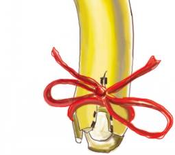 ��Ƥ����