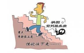 ����ǰ������