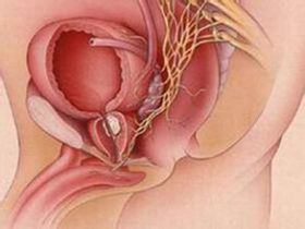 ǰ������