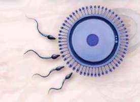 �پ�֢����