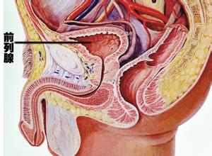 ǰ������