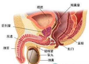 ǰ������