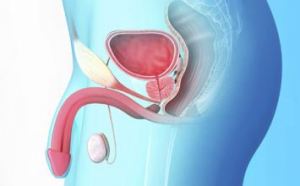 ǰ��������