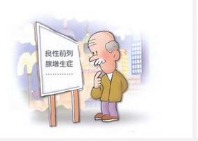 ǰ��������