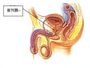 ǰ��������