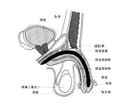 �Թ����ϰ�