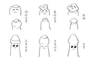 ��Ƥ��ͷ��