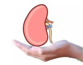 ǰ��������