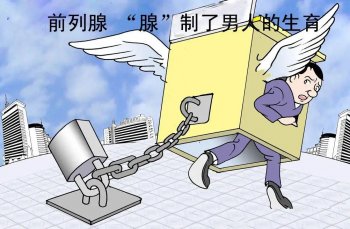 ǰ���ٸƻ����Իָ���